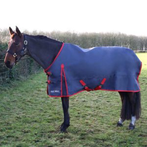 HY Equestrian 0g Turnout Rug -HYCONIC