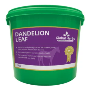 Global Herbs Dandelion Leaf 1kg