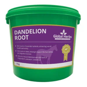Global Herbs Dandelion Root 1kg